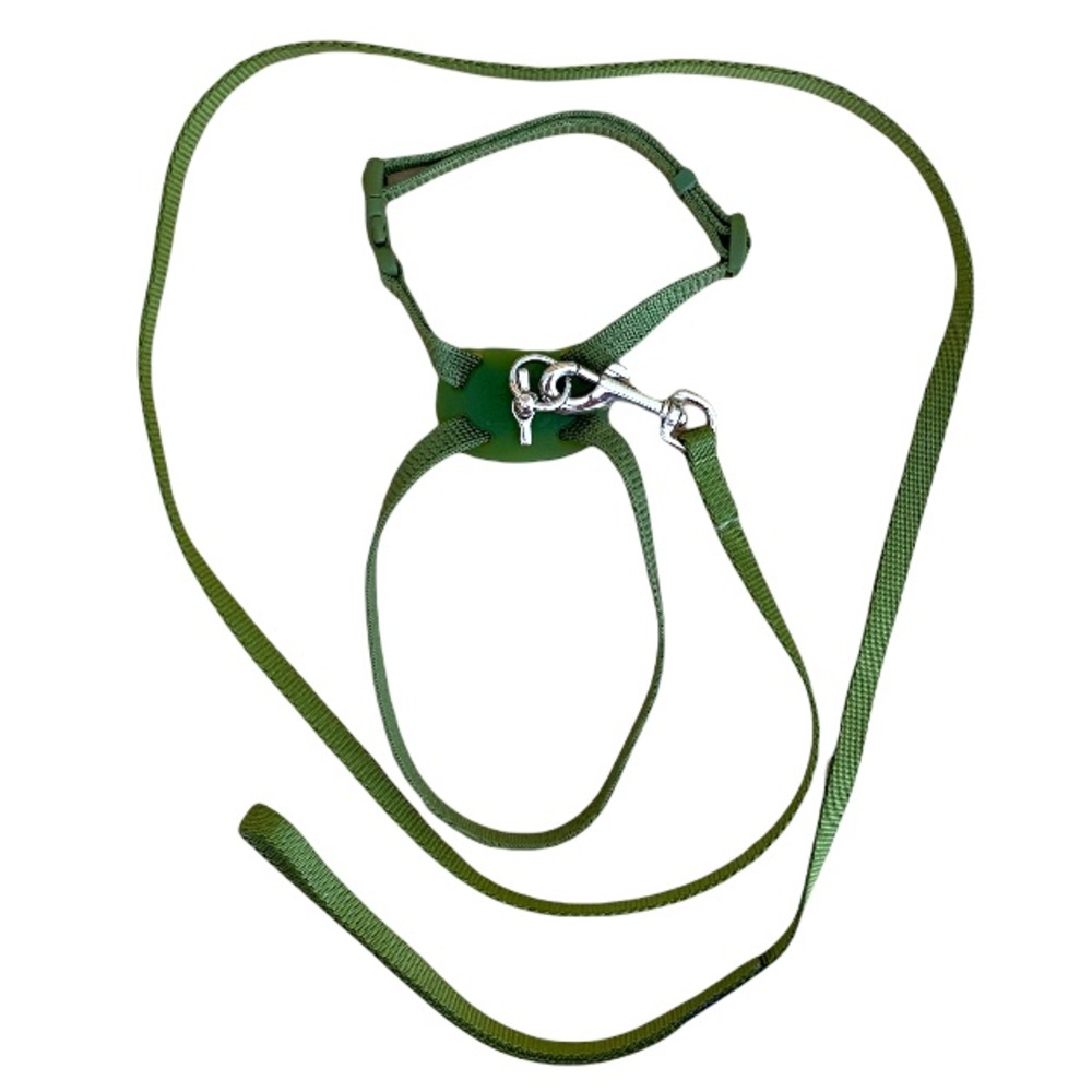 Pet Green Harness Leash